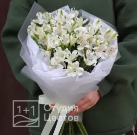 Прайст от 3000