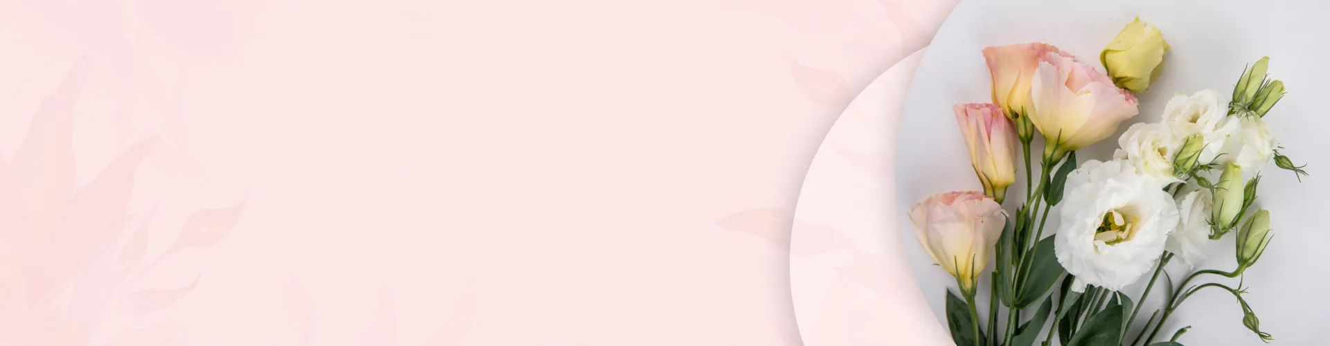 Подкормка для продления жизни растений в подарок