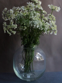 Вазы пузырь от интернет-магазина «» в Костроме