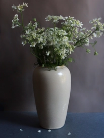 Бежевая амфора от интернет-магазина «» в Костроме