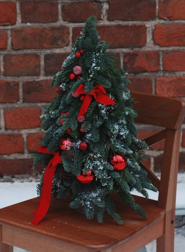 Новогодняя композиция. Елочка из нобилиса. от интернет-магазина цветов в Костроме