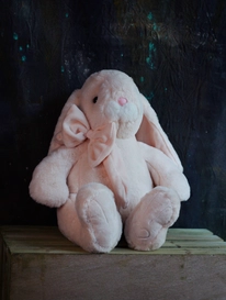 Милый длинноухий зайка с шикарным бантом   от интернет-магазина «» в Костроме